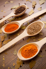 spices - pepper, curry, chilli, caraway