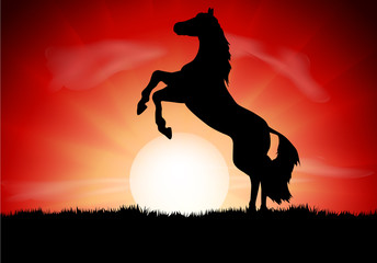 Silhouette of a horse reared at sunset