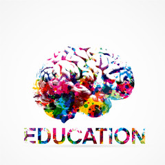 Fototapeta premium cerveau, éducation,vecteur