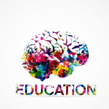 cerveau, éducation,vecteur