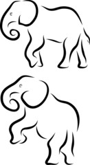 Elephant Line Art