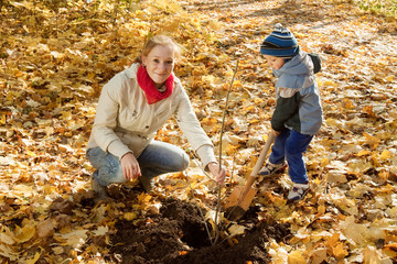  woman with  son planting  tree in autumn
