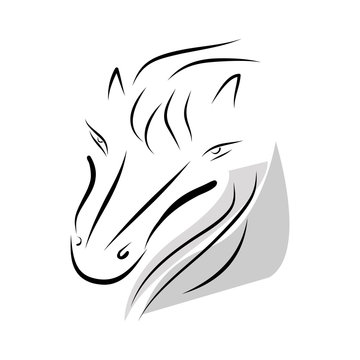 horse head vector graphic