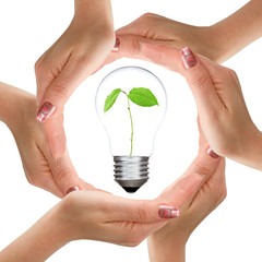 Hands and light bulb with plant inside