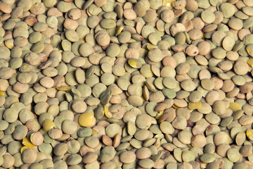 Background of brown small dry raw lentils
