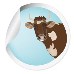 Label with a cow for packaging dairy products.Vector