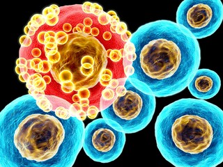 red cell make of difference