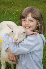 little girl with sheep