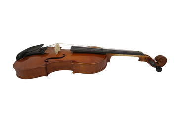 violin