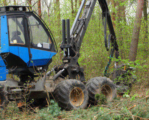 The harvester working in a forest.