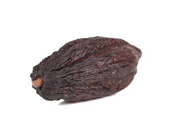 cocoa fruit