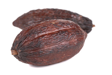 cocoa fruit