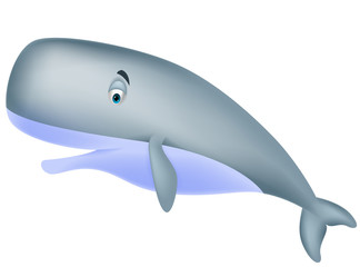 Cute sperm whale cartoon