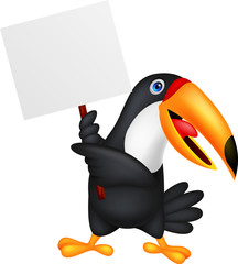 Toucan bird with blank sign