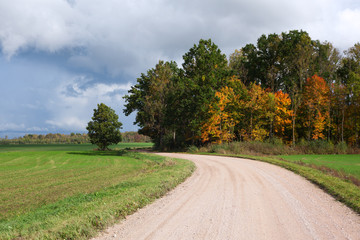 Fototapeta na wymiar Rural road.