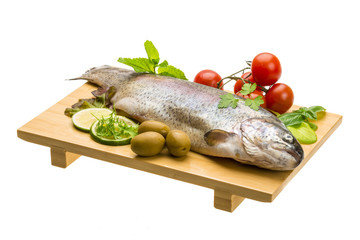 Fresh raw rainbow trout