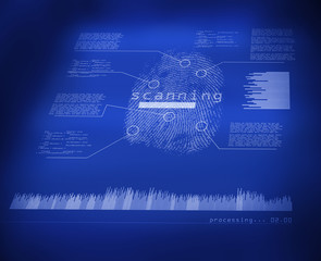 Fingerprint recognition interface