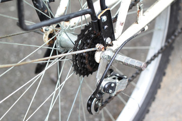 Fototapeta premium Gear bike.