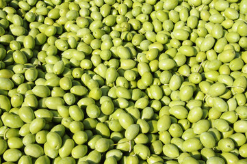 Green olives