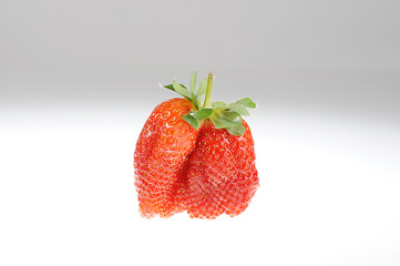 Erdbeere Freisteller