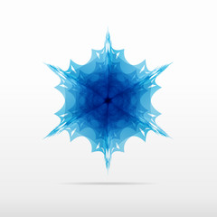 Obraz premium beautiful blue snowflake flower vector logo design