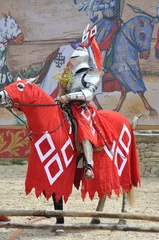 Photo sur Plexiglas Chevaliers chevalier en armure du puy du fou 