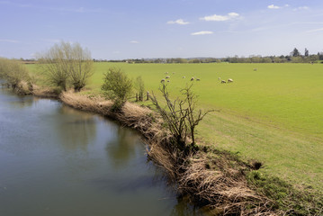 river avon