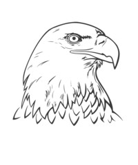 Fototapeta premium Eagle