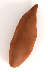 3d render of sweet potato