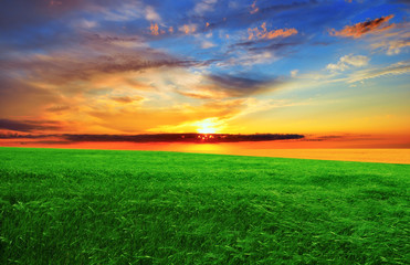 Sunset over the green field
