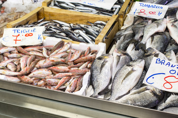 fresh fish