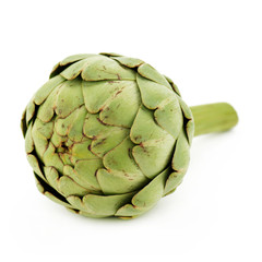 Obraz premium un artichaud fon blanc