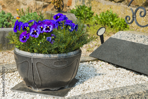 "Grab mit Blumenschale" Stockfotos und lizenzfreie Bilder auf Fotolia