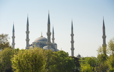 Fototapeta na wymiar View of the Blue Mosque in Istanbul