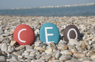 CEO, Chief Executive Officer on colourful stones