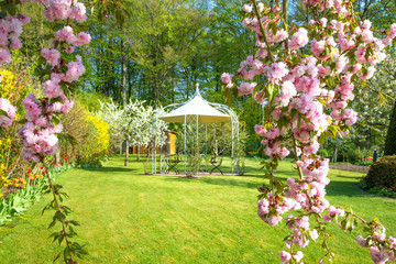 Frühling im Garten