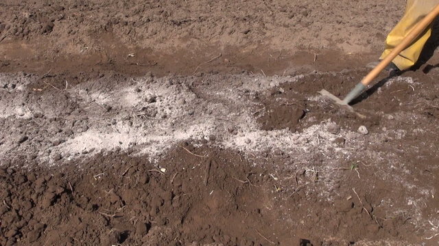 fertilize spring garden soil with natural wood ash