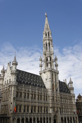 Fototapeta na wymiar Belgia - Bruksela
