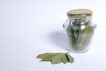 bay leaf