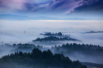 landscape and mist