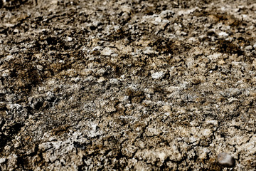 Dry Soil Background
