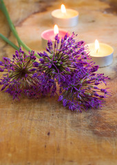 Obraz na płótnie Canvas Fresh flowers of allium on wooden table