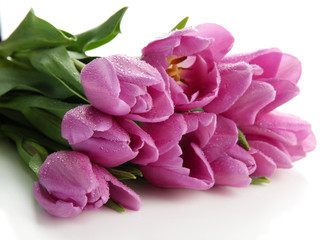 Obraz premium Beautiful bouquet of purple tulips, isolated on white