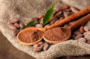 Cocoa powder in spoons and cocoa beans on wooden background