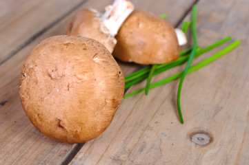 braune Champignons