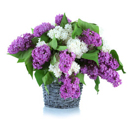 Beautiful lilac flowers in  wicker vase, isolated on white