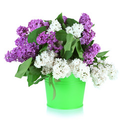 Beautiful lilac flowers in bucket, isolated on white