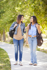 Fototapeta premium Young Adult Mixed Race Twin Sisters Walking Together