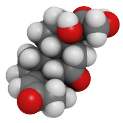 cortisone stress hormone, molecular model