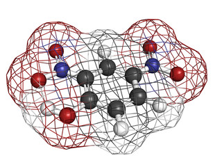 2,4-Dinitrophenol (DNP), molecular model